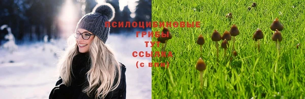 таблы Майский