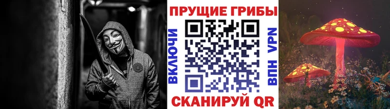 Галлюциногенные грибы ЛСД  Купить  Чита 